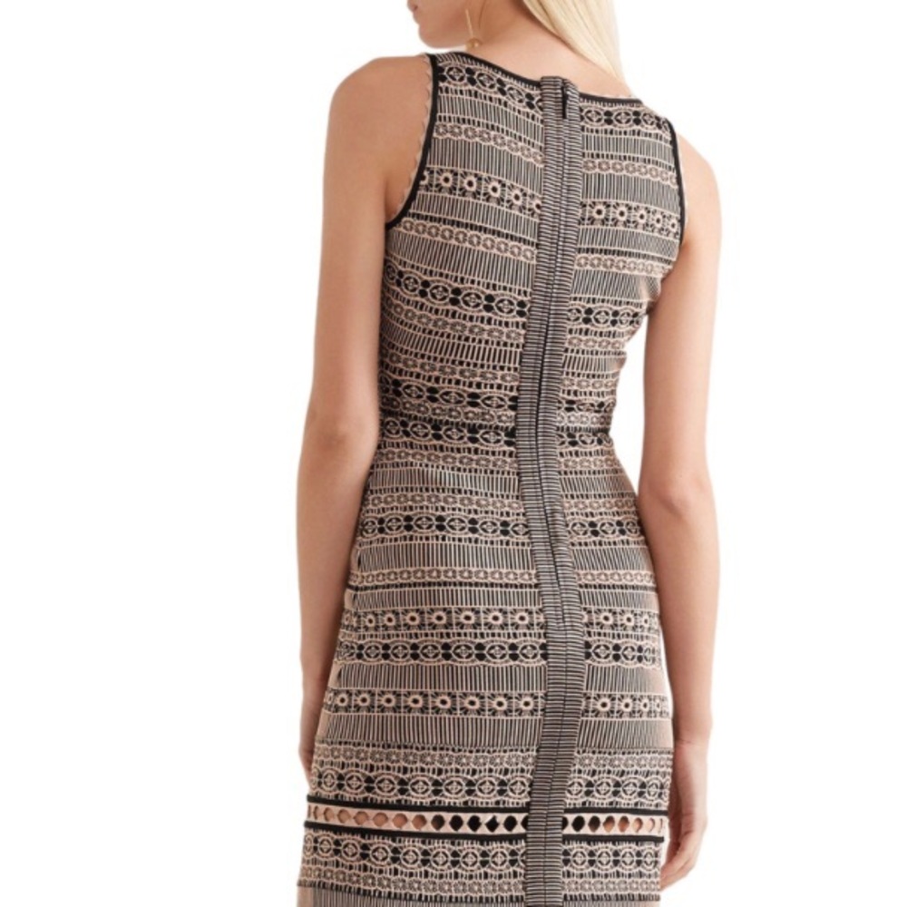 Herve leger dress